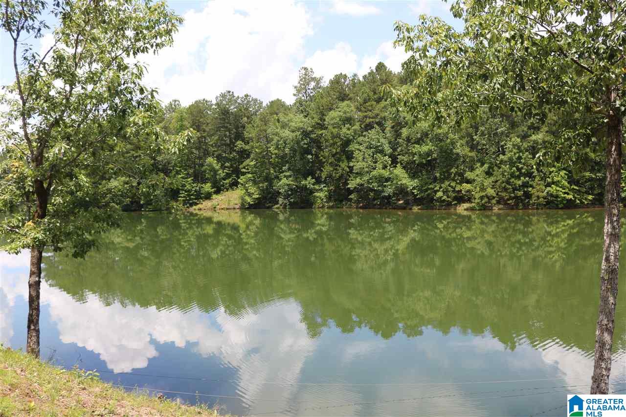 1394 Lane Branch Road Wedowee, AL 36278 - Photo 26 of 37