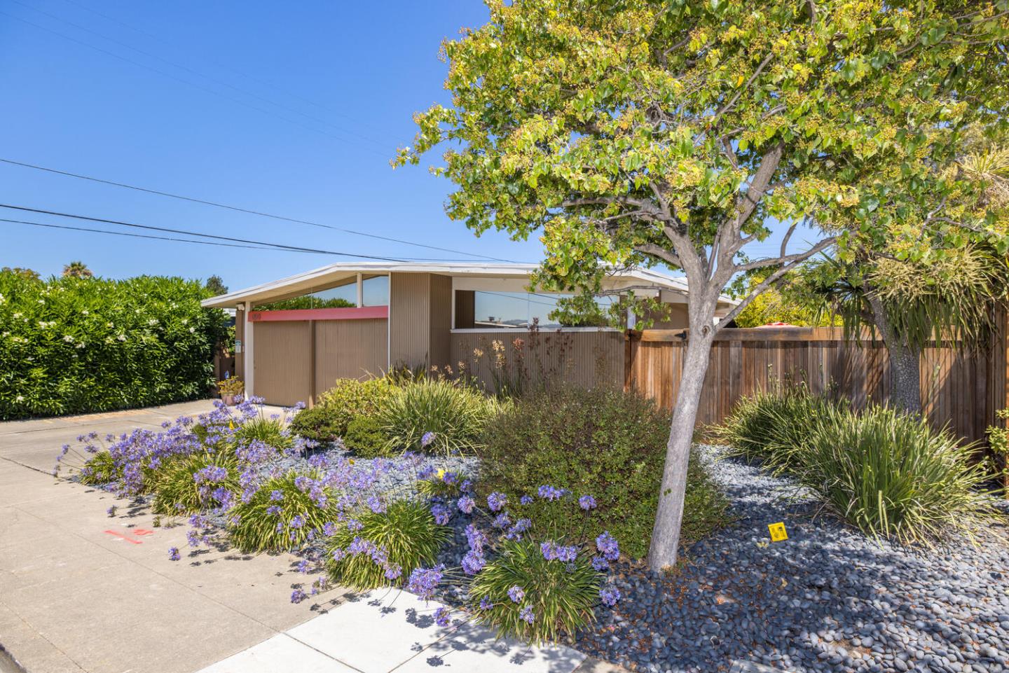 1619 Celeste Drive San Mateo, CA 94402 - Photo 2 of 44 a backyard of a house with lots of green space