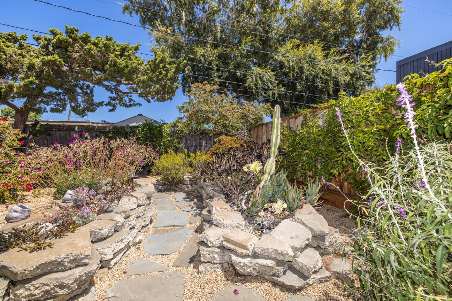 1619 Celeste Drive San Mateo, CA 94402 - Photo 41 of 44 a view of a garden with plants