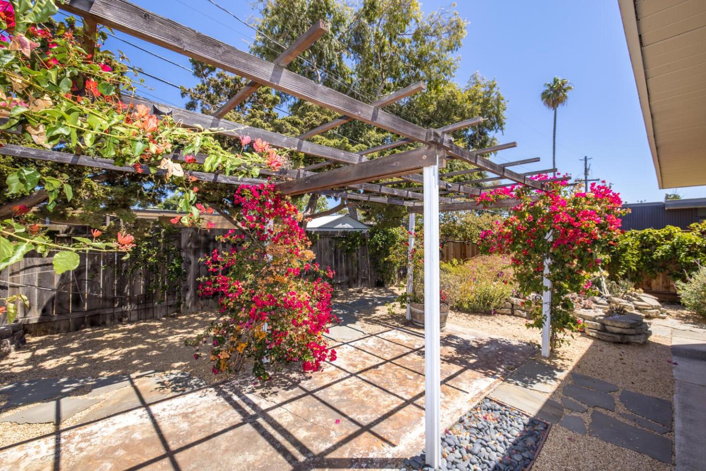 1619 Celeste Drive San Mateo, CA 94402 - Photo 44 of 44 a view of a potted flower in the corridor