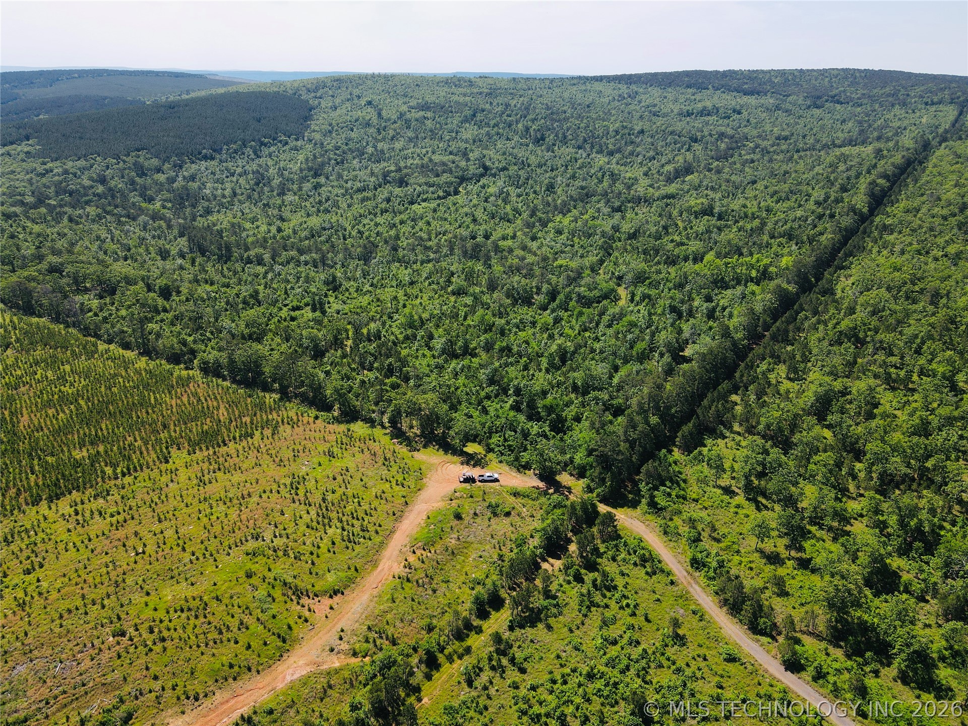 0 4289th Road Clayton, OK 74536 - Photo 18 of 26 Expansive acreage featuring mature tree cover, a section of planted saplings, and unpaved access roads