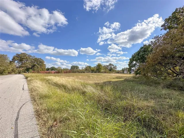 a view of yard with large trees
