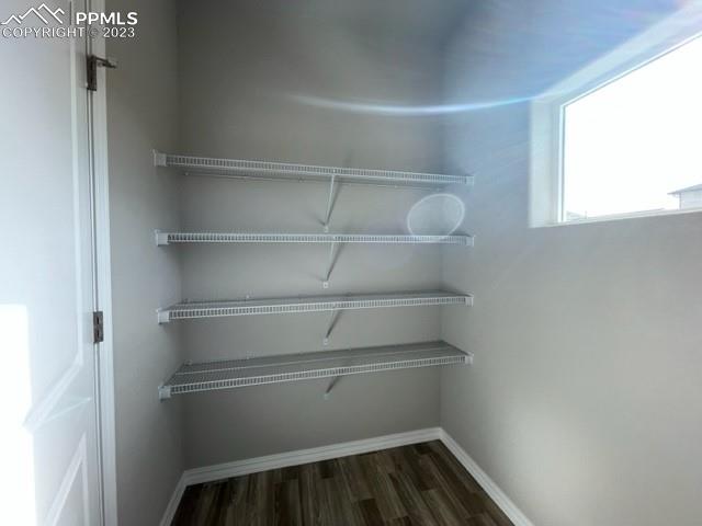 2931 Magic Carpet Loop Colorado Springs, CO 80916 - Photo 11 of 13 a view of walk in closet with empty racks