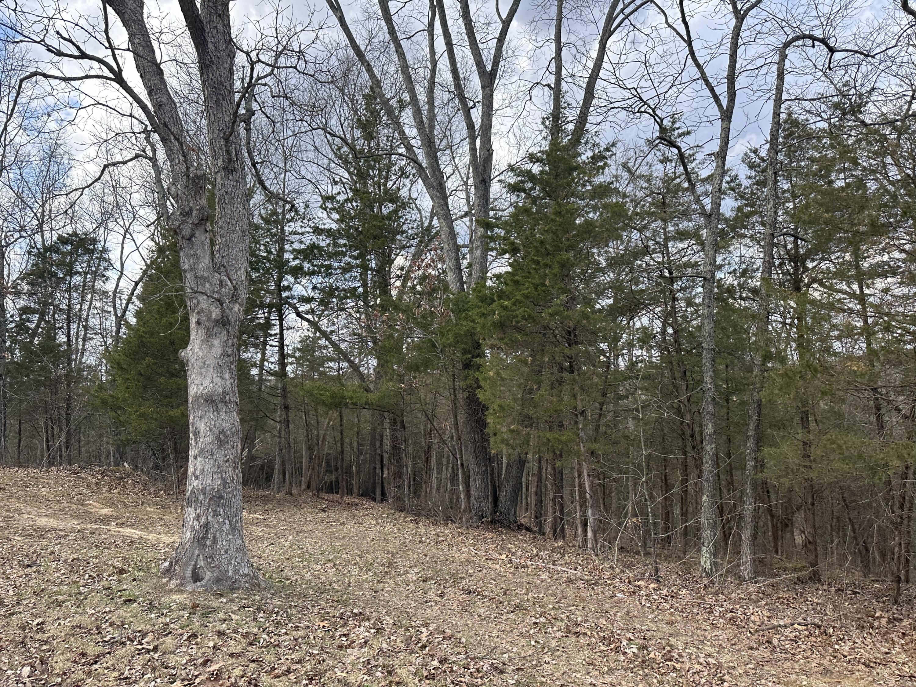 40414243 Fox Trail Road Corinth, KY 41010 - Photo 13 of 25