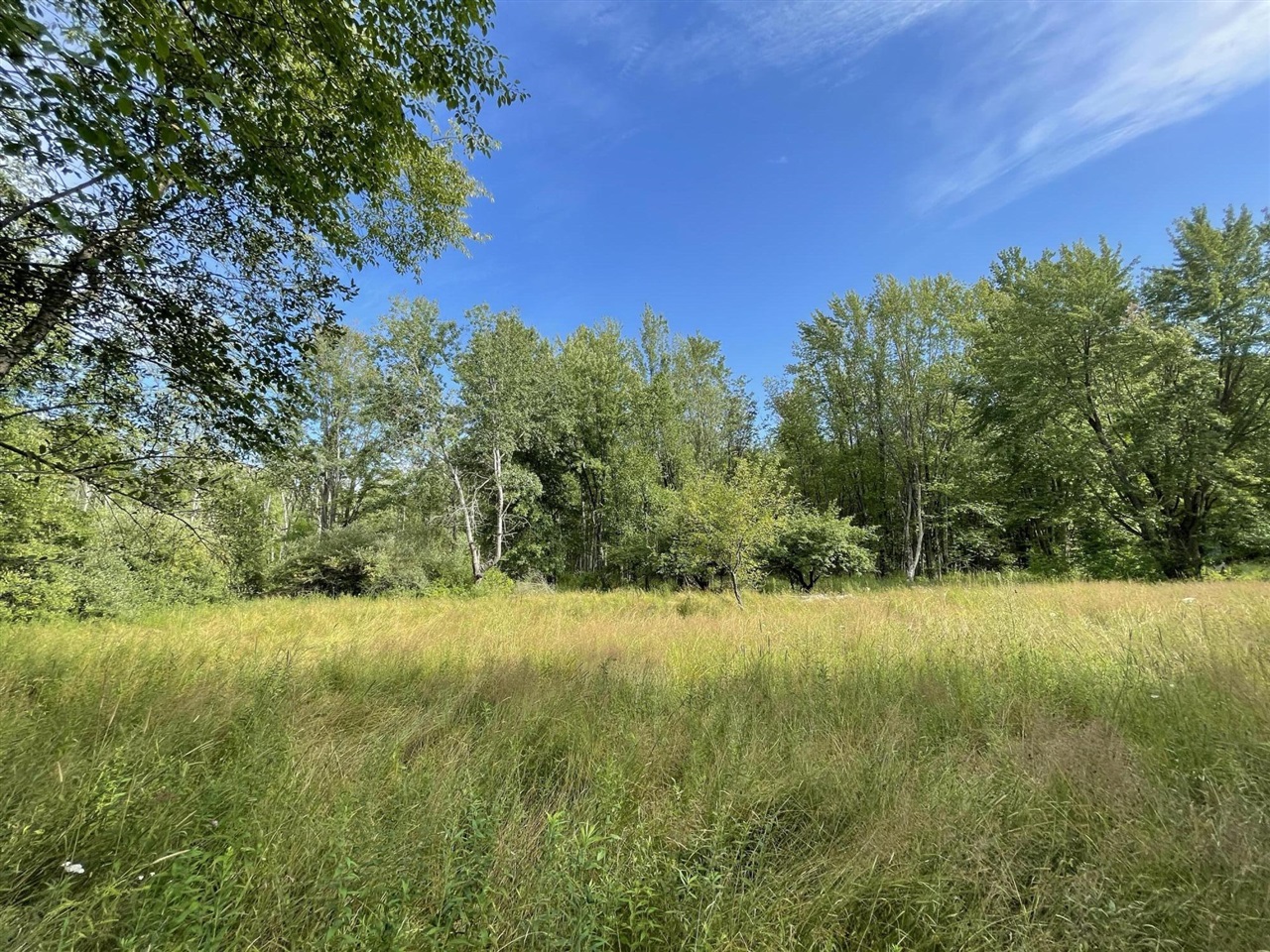 Beyer Road Road Free Soil, MI 49411 - Photo 1 of 46