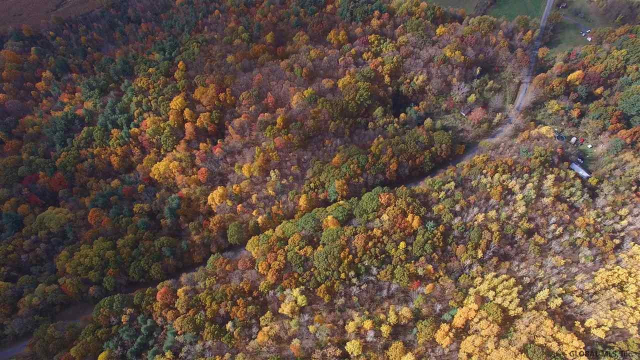 0 Mabb Road Stillwater, NY 12170 - Photo 1 of 5 Photo 1