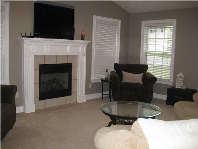 1322 Springview Drive Chattanooga, TN 37421 - Photo 3 of 36 Additional Photo