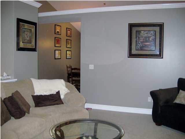 1322 Springview Drive Chattanooga, TN 37421 - Photo 9 of 36 Additional Photo