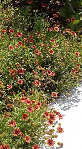 $734,900 | 5 Willow Drive, St. Augustine, FL 32080