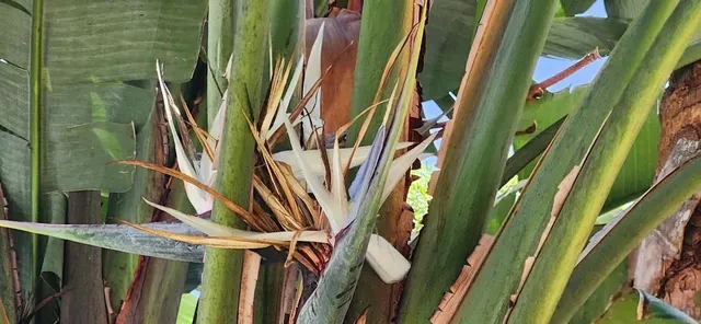 $734,900 | 5 Willow Drive, St. Augustine, FL 32080