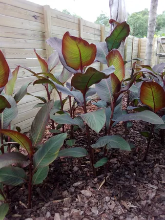 $699,900 | 5 Willow Drive, St. Augustine, FL 32080