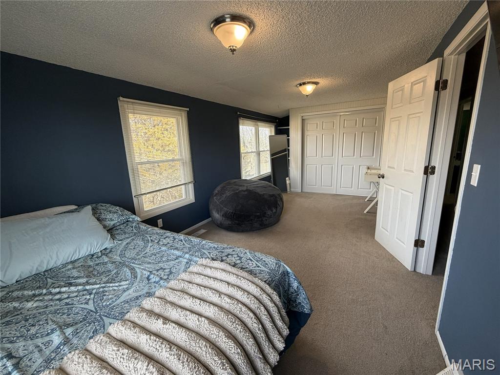 29907 Old Cotton Road Foristell, MO 63348 - Photo 13 of 35