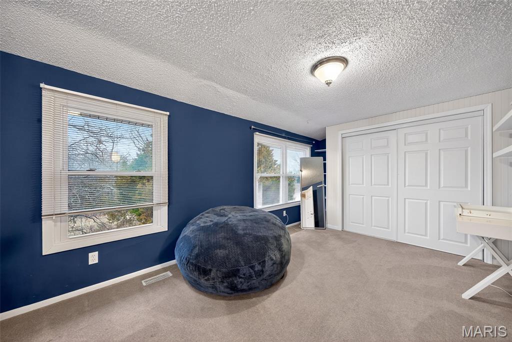 29907 Old Cotton Road Foristell, MO 63348 - Photo 41 of 62