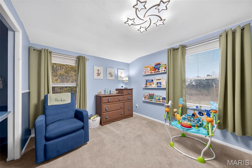 29907 Old Cotton Road Foristell, MO 63348 - Photo 47 of 62