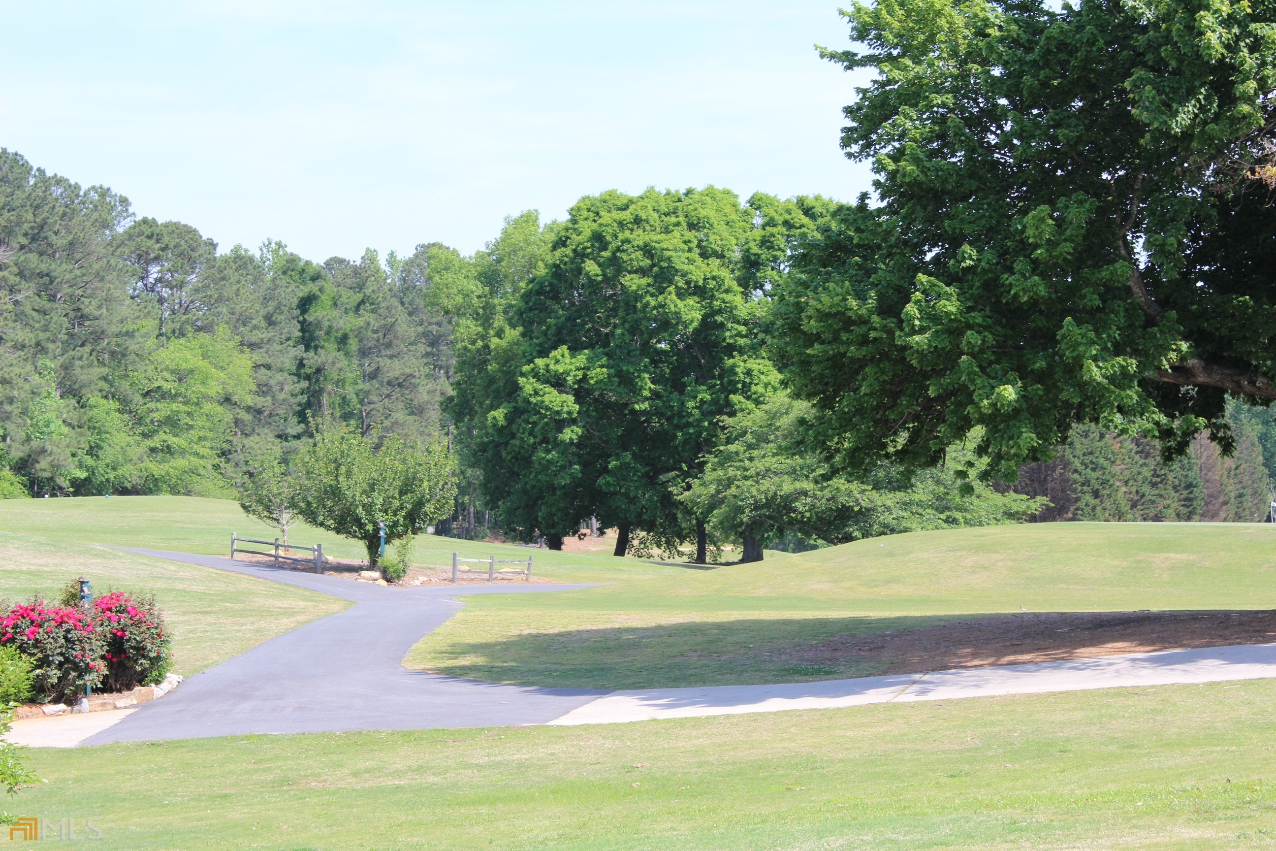 1137 Magnolia Drive Villa Rica, GA 30180 - Photo 29 of 44 a view of yard with large trees