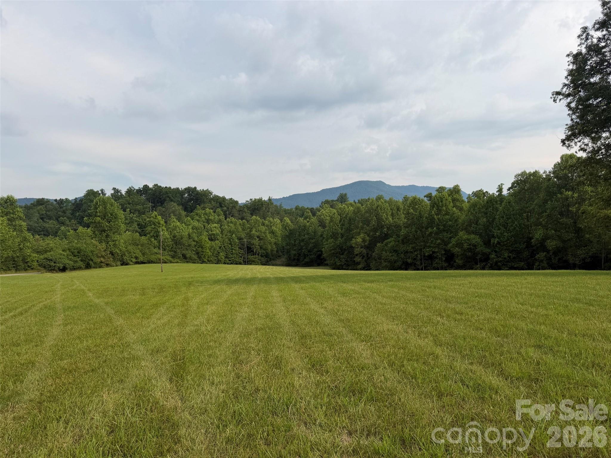 Lot 5 Parker Padgett Road Old Fort, NC 28762 - Photo 6 of 12