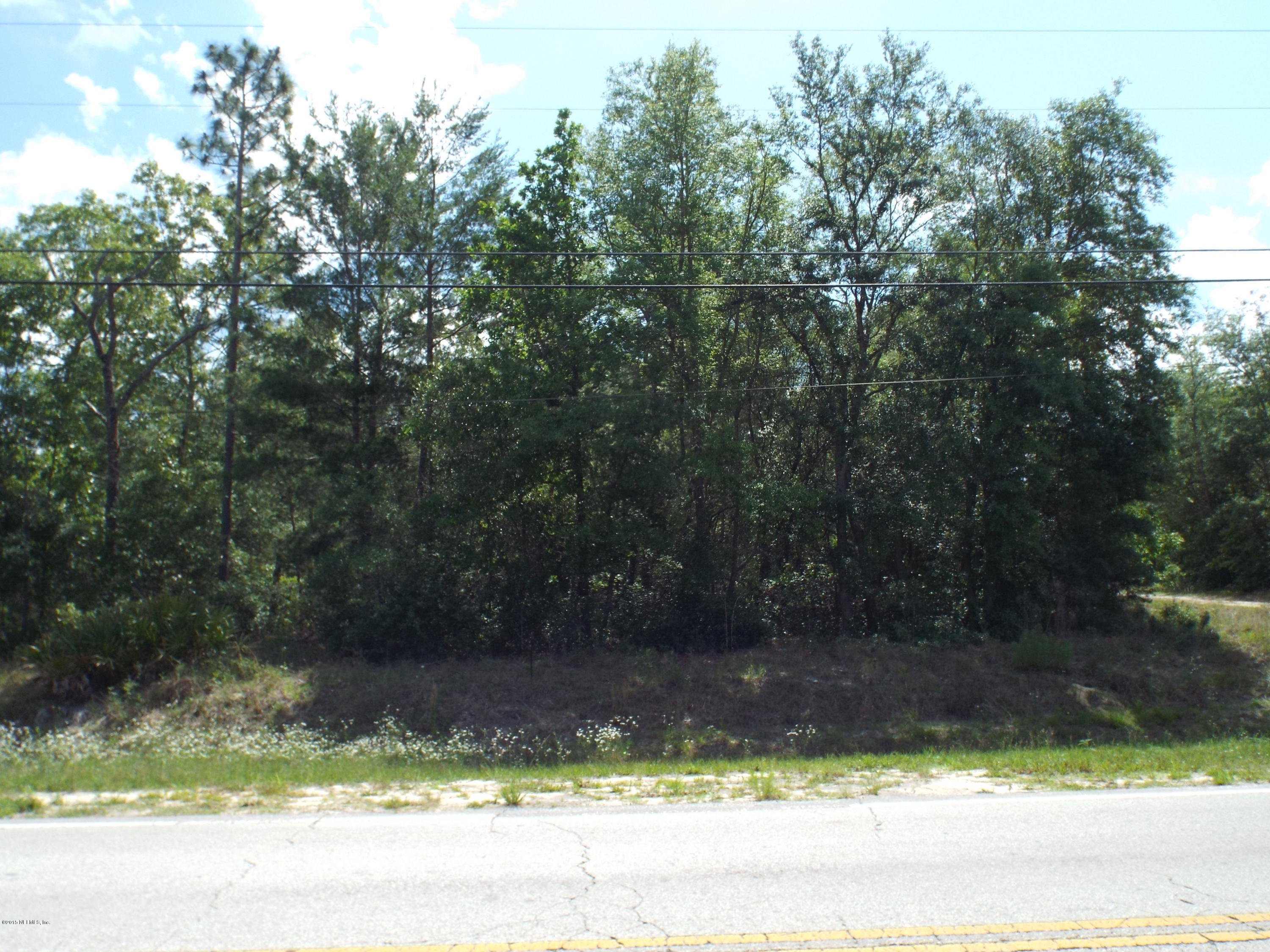 7653 Silver Sands Road Keystone Heights, FL 32656 - Photo 4 of 6 Wooded Lot and High & Dry