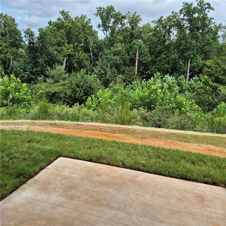 5019 Fallmeade Road Kernersville, NC 27284 - Photo 18 of 50 Gallery Image 18