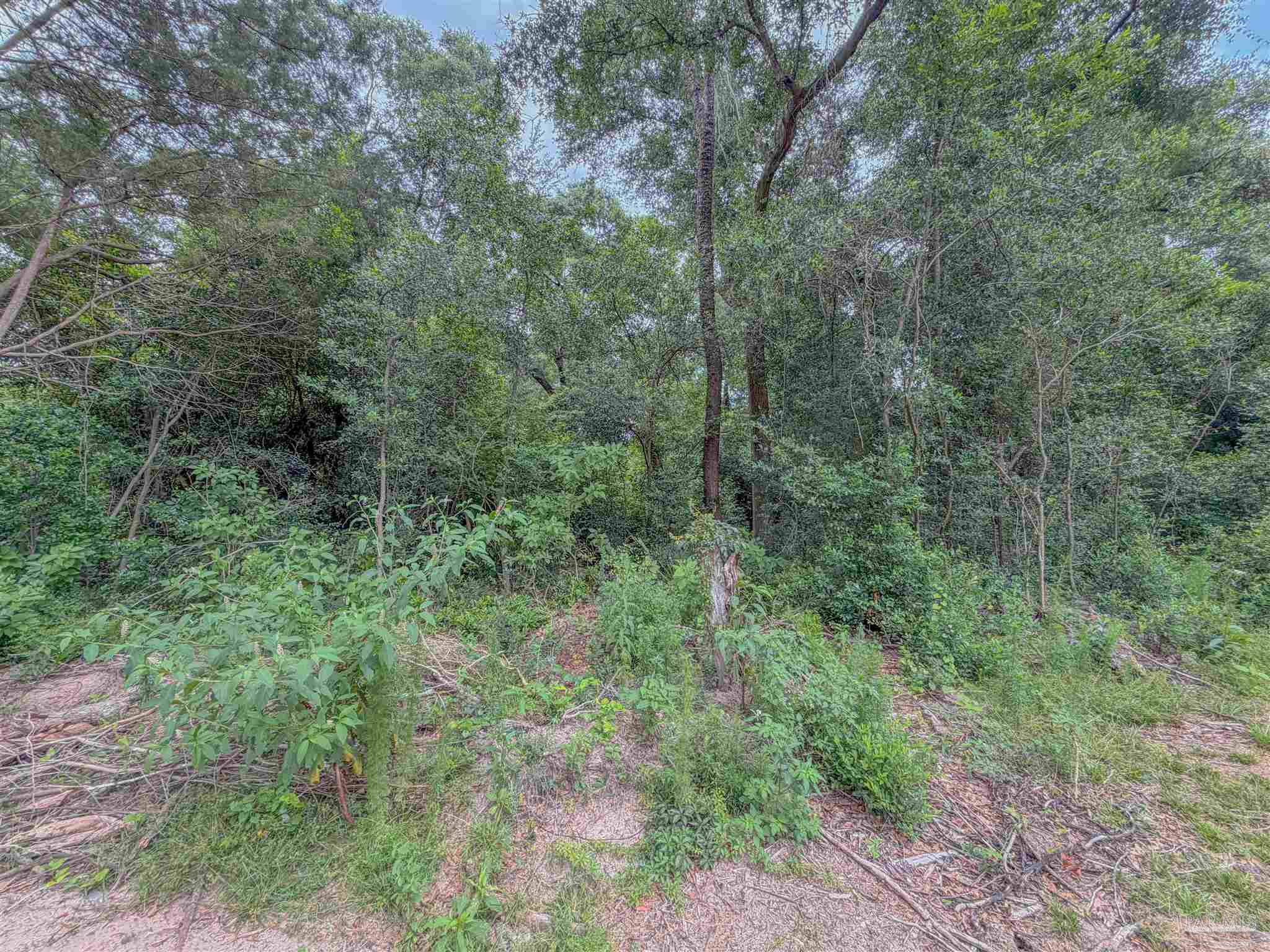 Berryhill Road Milton, FL 32570 - Photo 8 of 12