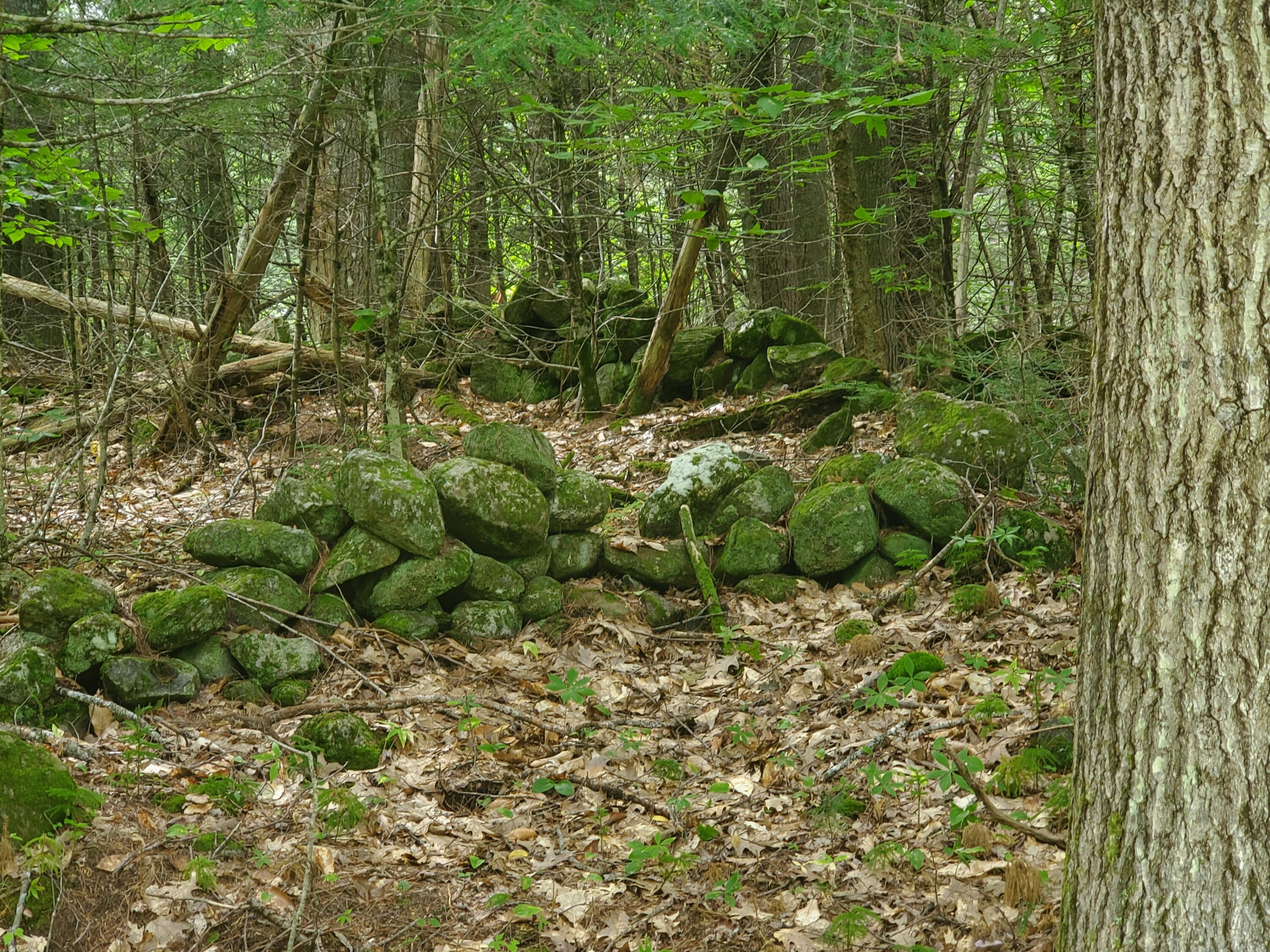 3-3a Old Middle Road Parsonsfield, ME 04047 - Photo 2 of 14 20220911_122915