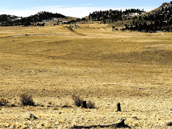 $50,000 | 492 Chickamauga Trail, Hartsel, CO 80449