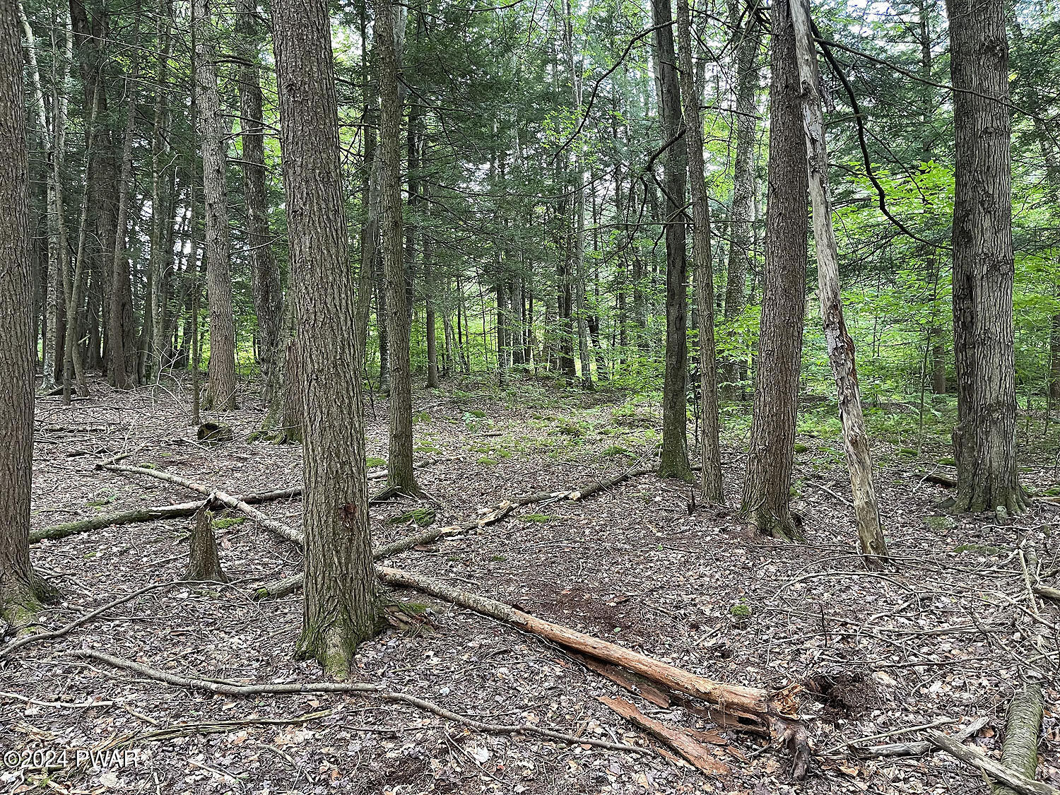 0 Rotten Road Equinunk, PA 18417 - Photo 9 of 20