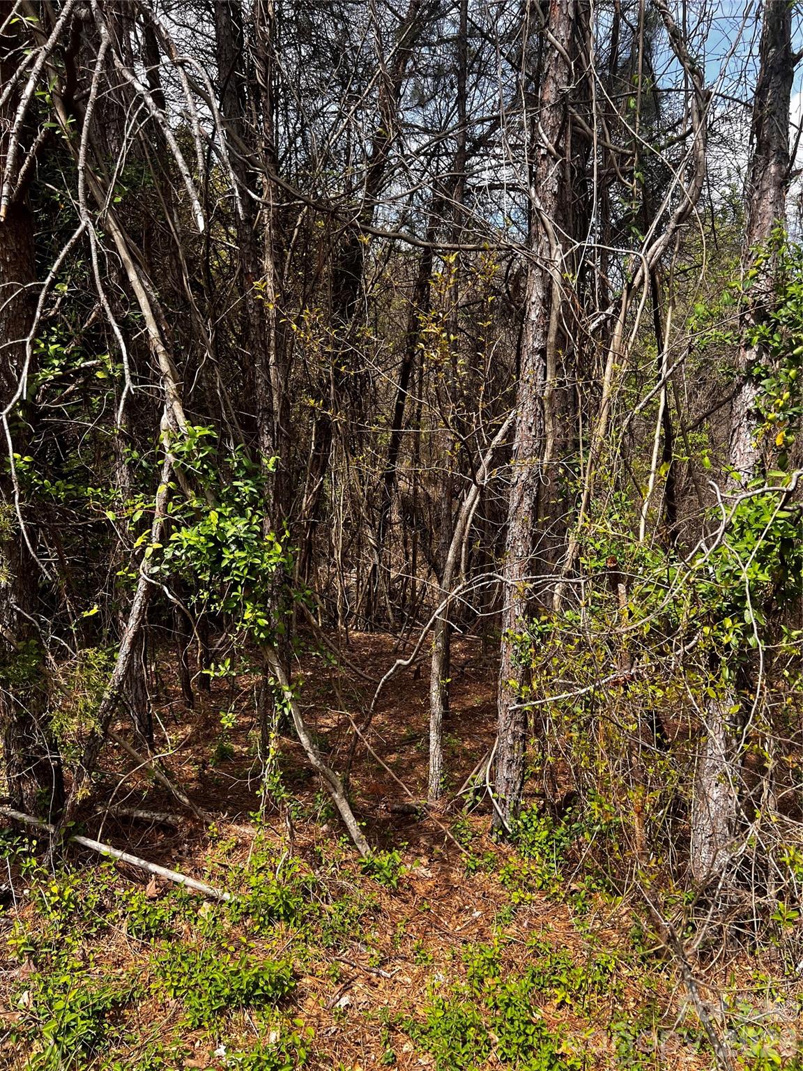 0 Cemetery Loop Hickory, NC 28601 - Photo 2 of 5