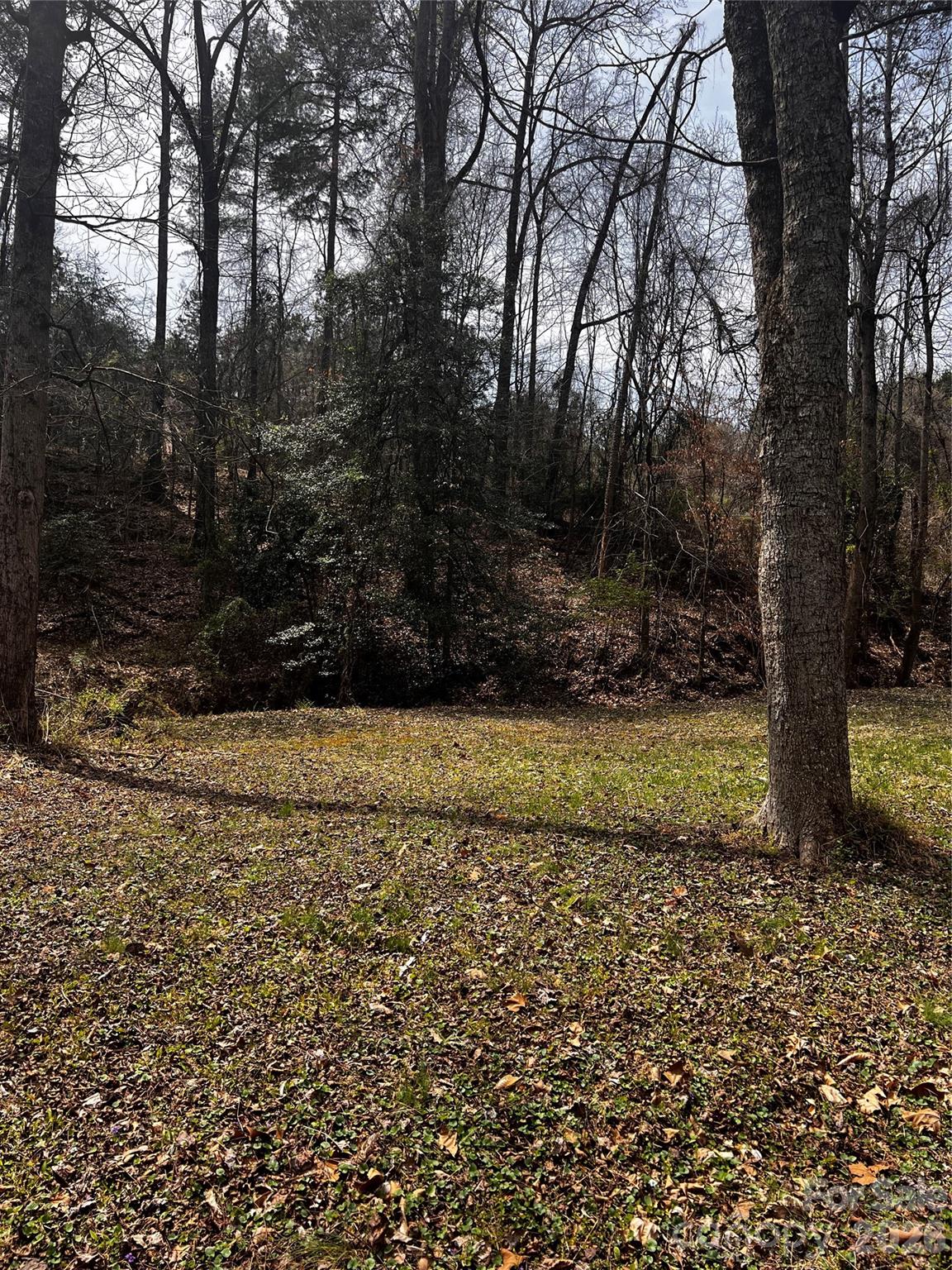 0 Cemetery Loop Hickory, NC 28601 - Photo 3 of 5