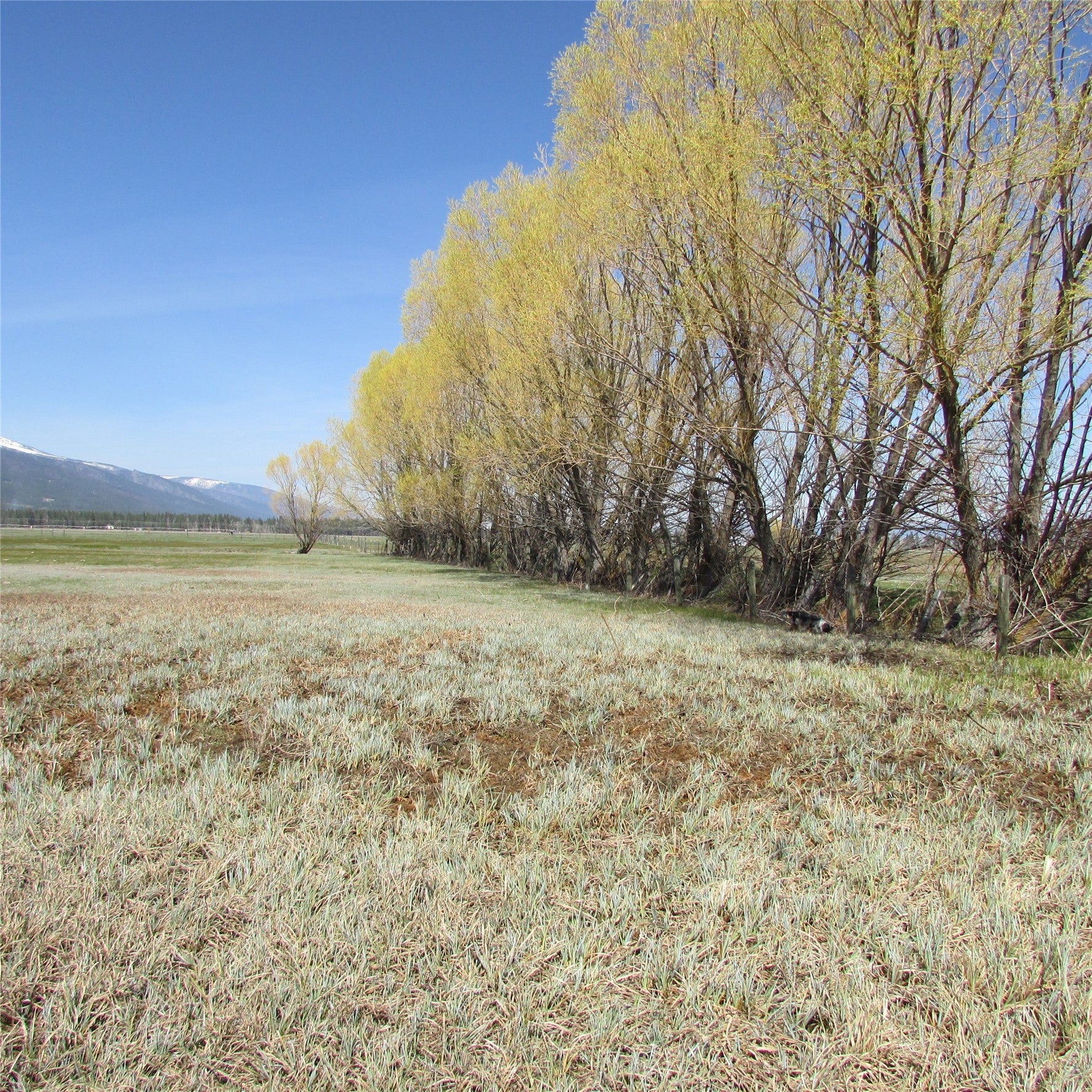 Nhn Meridian Road Victor, MT 59875 - Photo 16 of 24 Gallery Image 16