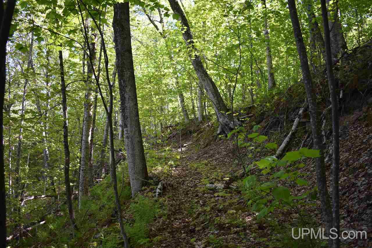 24-acres Co Rd Kb Big Bay, MI 49808 - Photo 45 of 50
