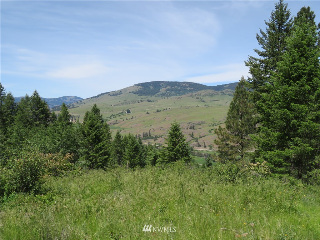 2 Boulder Creek Road Curlew, WA 99118 - Photo 1 of 20 Gallery Image 1