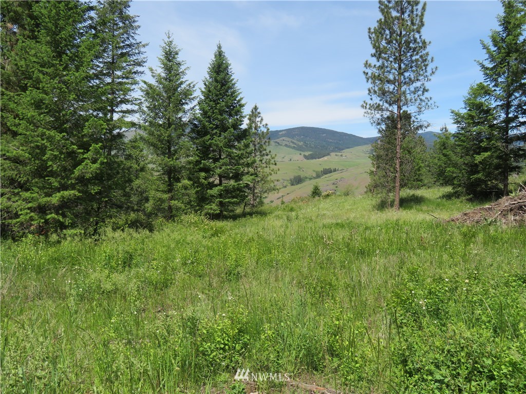2 Boulder Creek Road Curlew, WA 99118 - Photo 2 of 20 Gallery Image 2