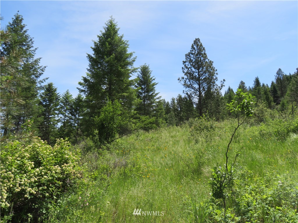 2 Boulder Creek Road Curlew, WA 99118 - Photo 12 of 20 Gallery Image 12