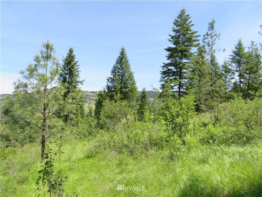 2 Boulder Creek Road Curlew, WA 99118 - Photo 14 of 20 Gallery Image 14