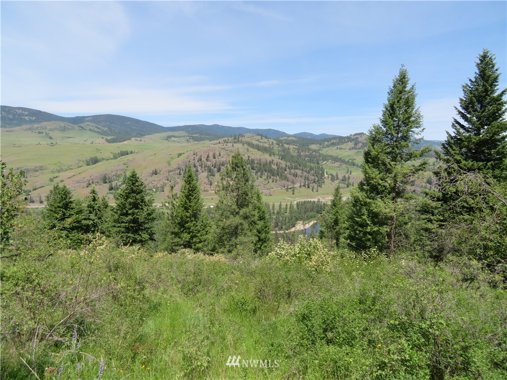 2 Boulder Creek Road Curlew, WA 99118 - Photo 15 of 20 Gallery Image 15
