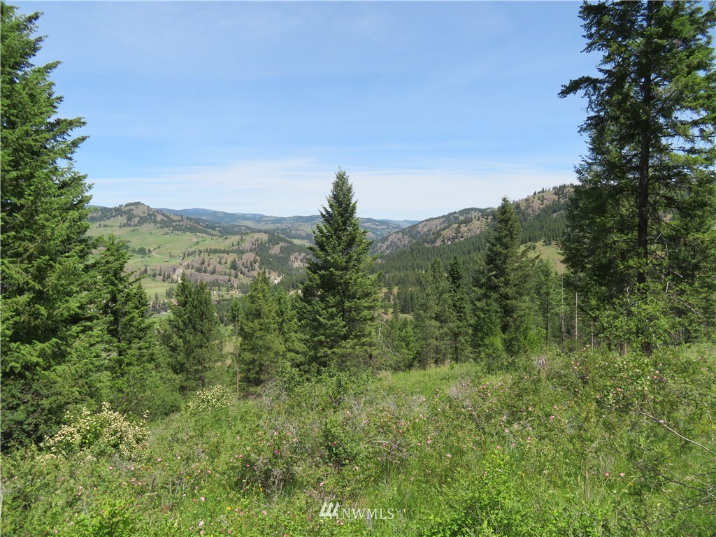 2 Boulder Creek Road Curlew, WA 99118 - Photo 17 of 20 Gallery Image 17