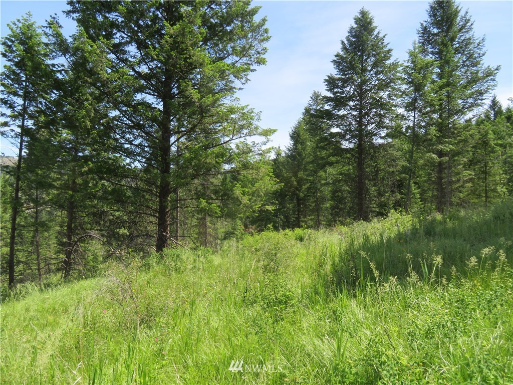 2 Boulder Creek Road Curlew, WA 99118 - Photo 18 of 20 Gallery Image 18