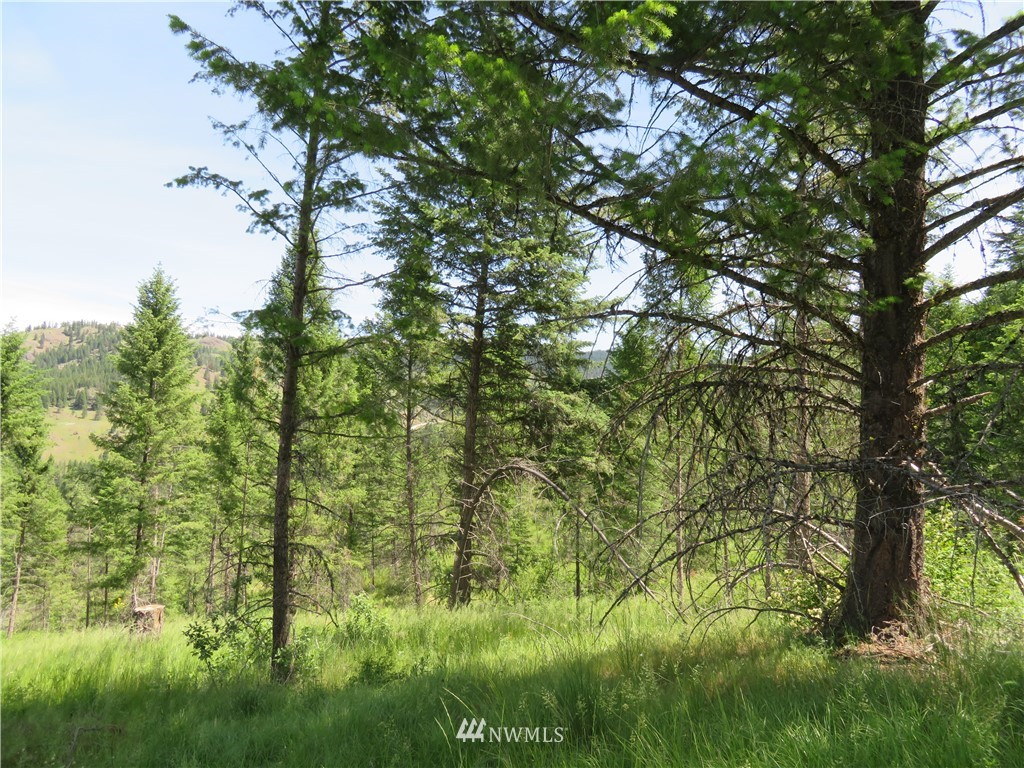 2 Boulder Creek Road Curlew, WA 99118 - Photo 19 of 20 Gallery Image 19