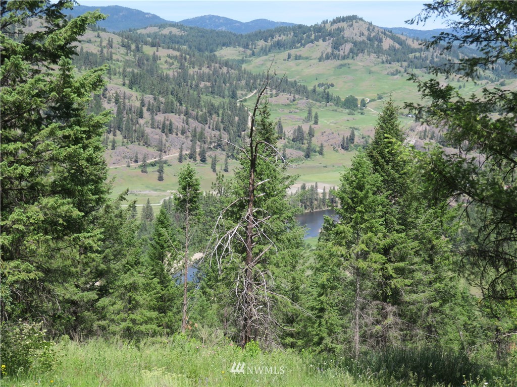 2 Boulder Creek Road Curlew, WA 99118 - Photo 20 of 20 Gallery Image 20