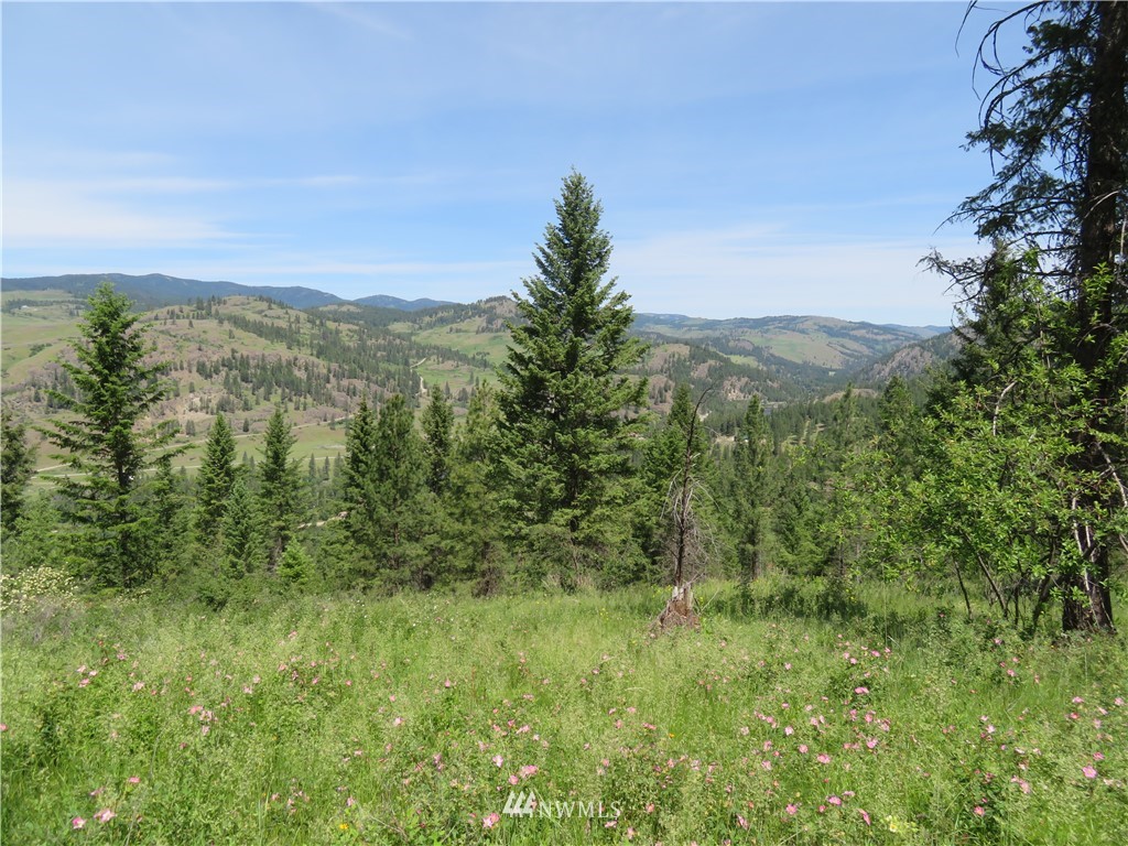 2 Boulder Creek Road Curlew, WA 99118 - Photo 3 of 20 Gallery Image 3