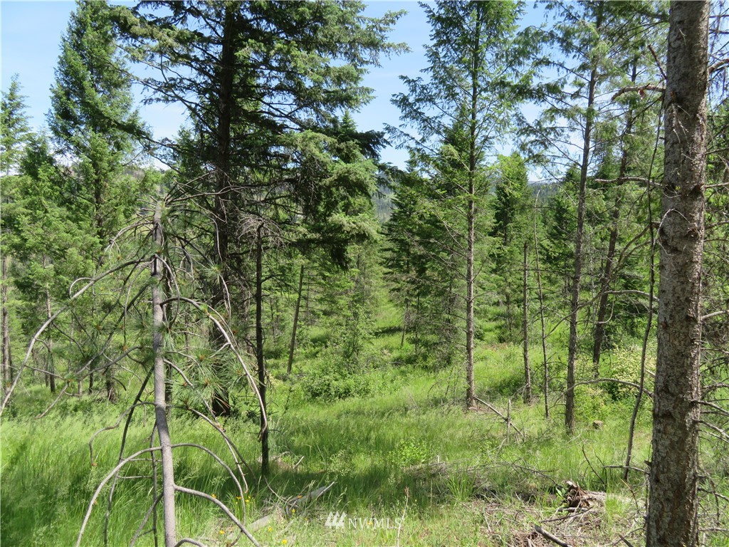 2 Boulder Creek Road Curlew, WA 99118 - Photo 6 of 20 Gallery Image 6