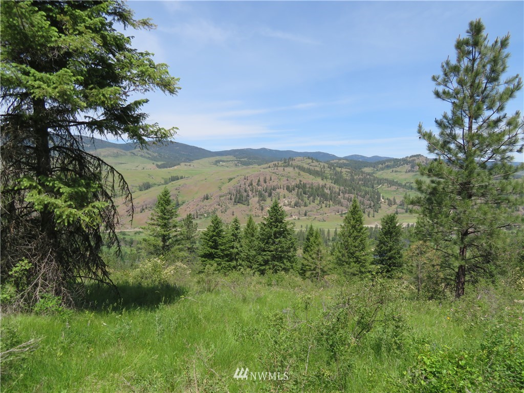 2 Boulder Creek Road Curlew, WA 99118 - Photo 7 of 20 Gallery Image 7