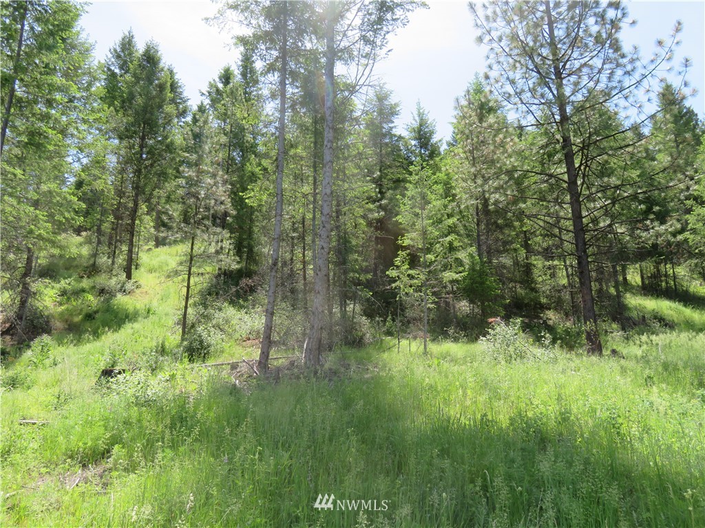 2 Boulder Creek Road Curlew, WA 99118 - Photo 8 of 20 Gallery Image 8