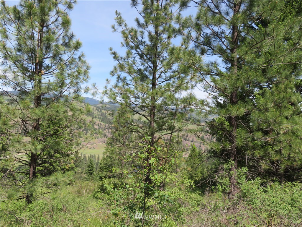 2 Boulder Creek Road Curlew, WA 99118 - Photo 10 of 20 Gallery Image 10