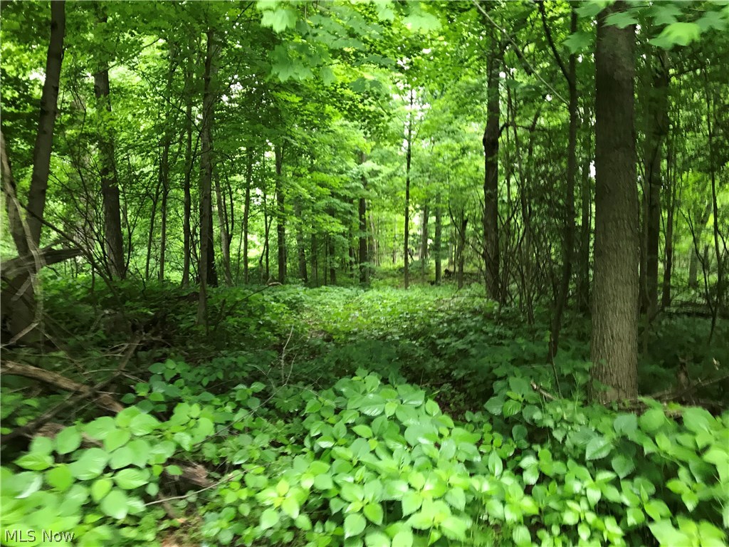 Lexington Springmill Road Mansfield, OH 44904 - Photo 18 of 23