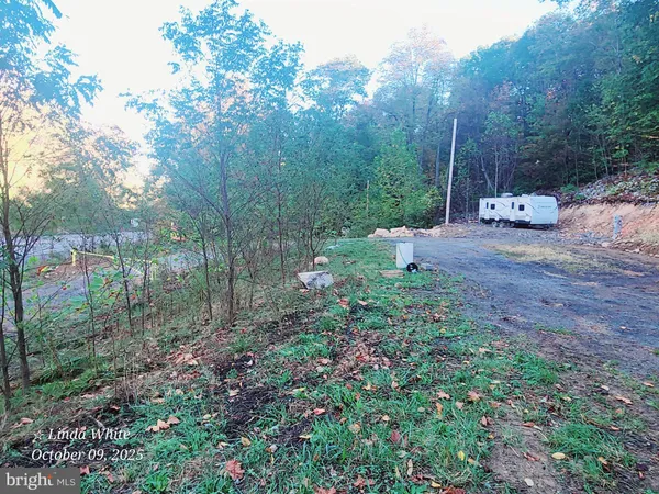 a view of a back yard
