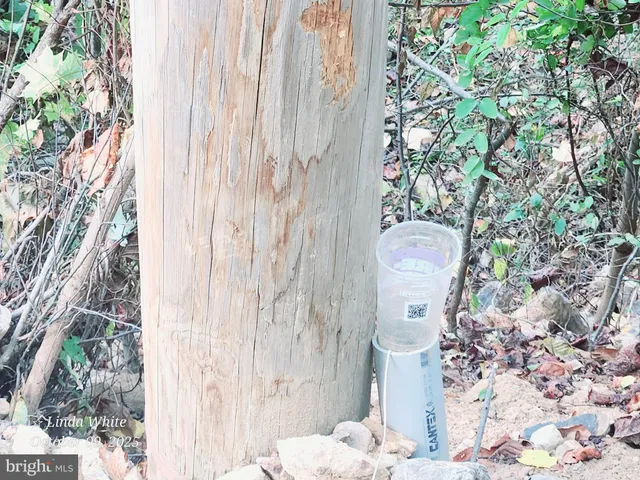 $139,000 | Lot William William Penn Highway, Mount Union, PA 17066