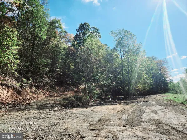 a view of a yard with trees