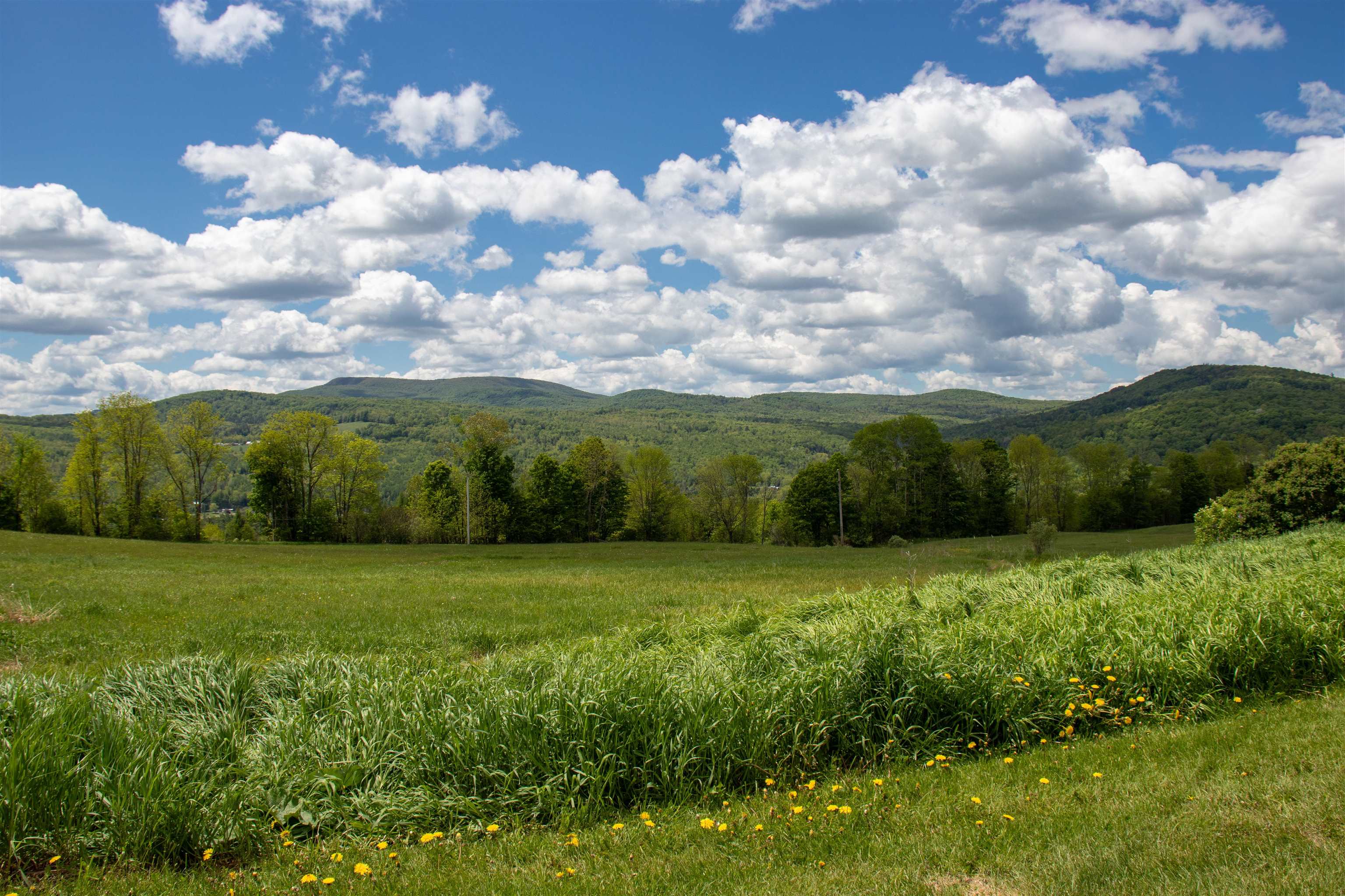 487 Nelson Hill Road Sheffield, VT 05866 - Photo 8 of 57