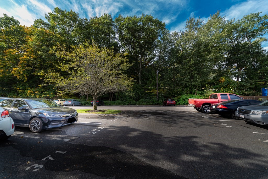 21 Westgate Road, Unit 3 Boston, MA 02467 - Photo 18 of 20